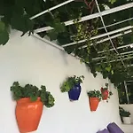 Kamil Hotel 3*