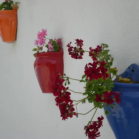 Kamil 酒店 迪迪姆