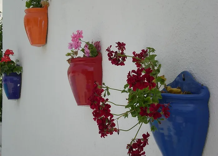 Kamil Ξενοδοχείο Ντιντίμ