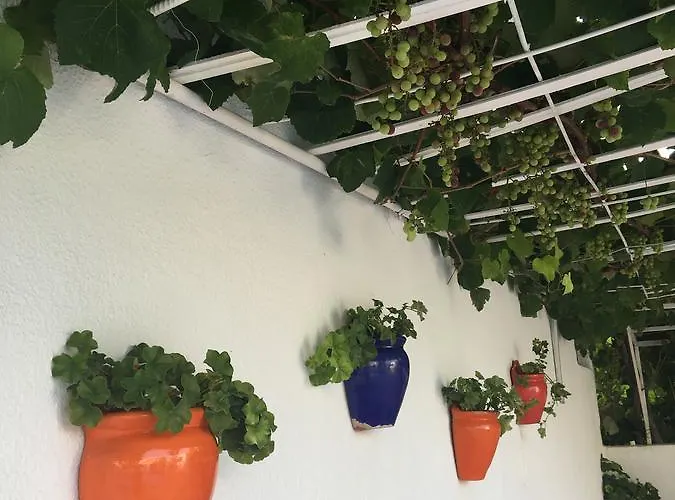 Kamil Ξενοδοχείο 3*