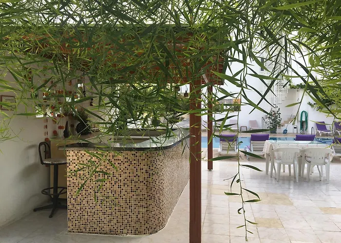 Kamil Ντιντίμ